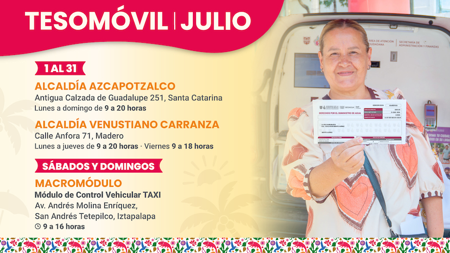 <h4>Tesomóvil</h4>